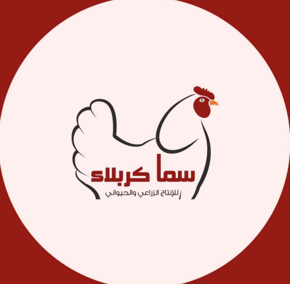 صدور دجاج البوادي بدون جلد